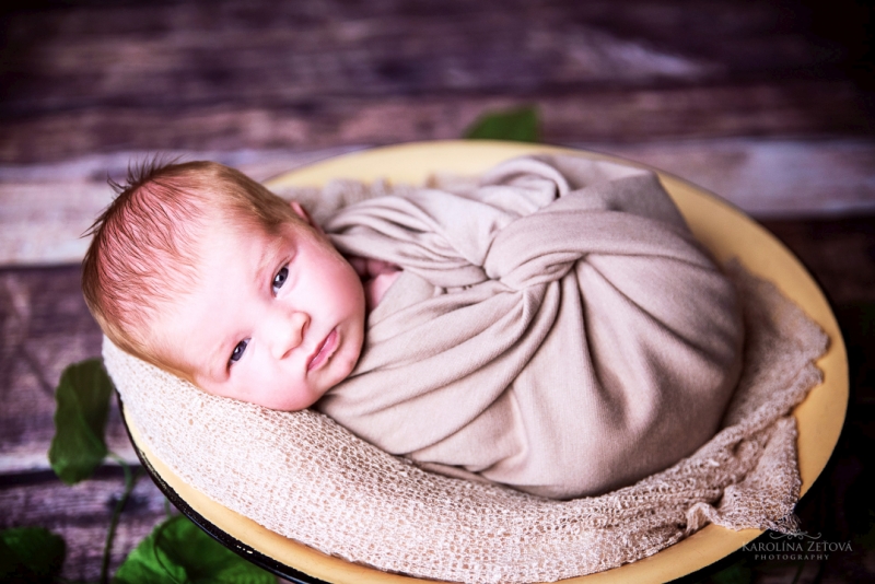 Newborn