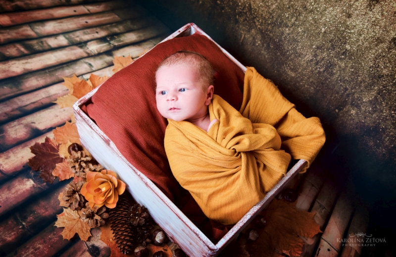 Newborn