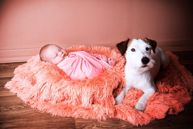Newborn